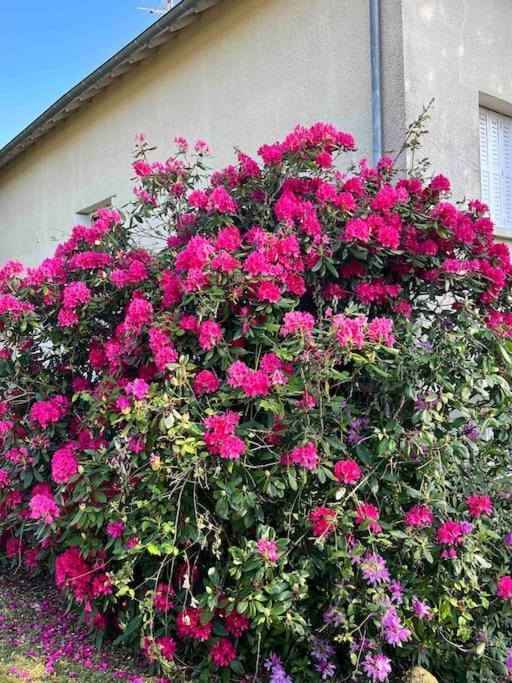 Gite De La Petite Fourmy Saint-Sulpice-les-Feuilles المظهر الخارجي الصورة