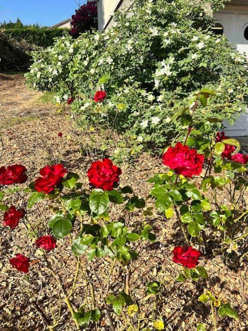 Gite De La Petite Fourmy Saint-Sulpice-les-Feuilles المظهر الخارجي الصورة